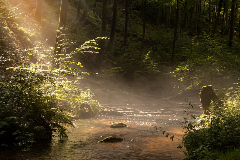 Flow Arts Image